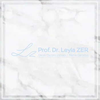 leyla-zer